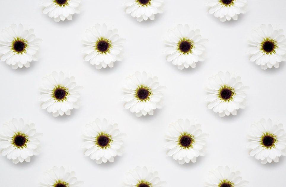 Using a Blank Page for Custom Designs