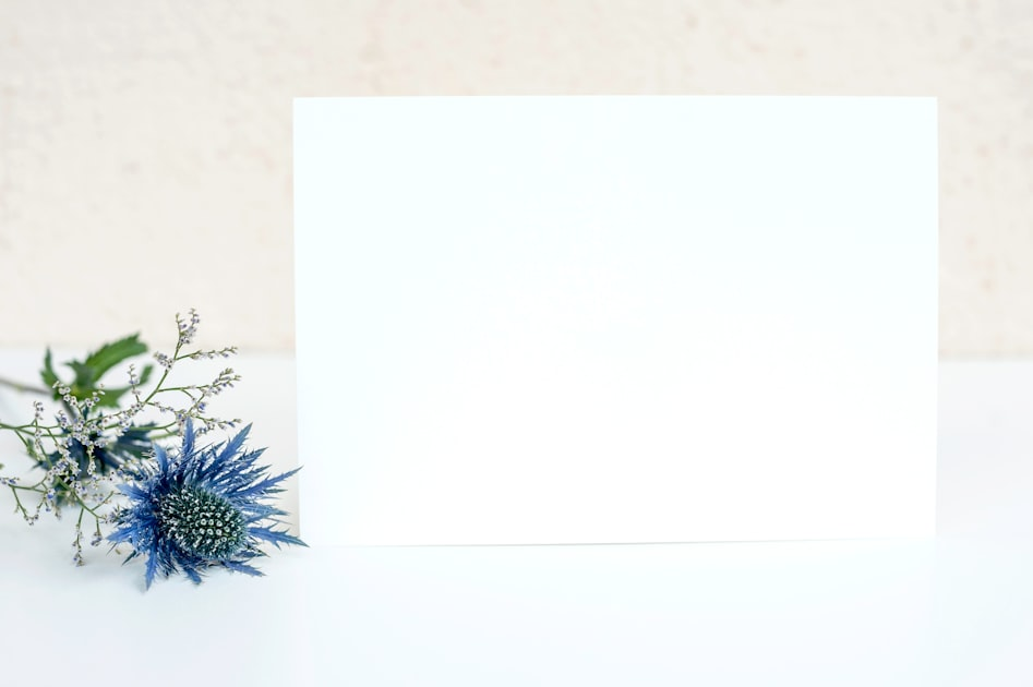 How to Hide Headers and Footers in WordPress